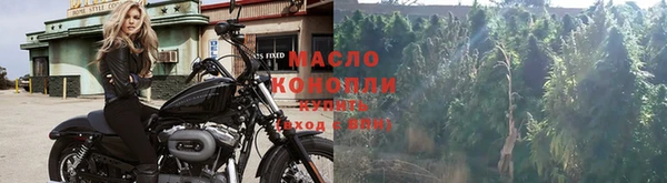 амф Вяземский