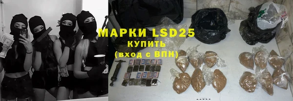 амф Вяземский