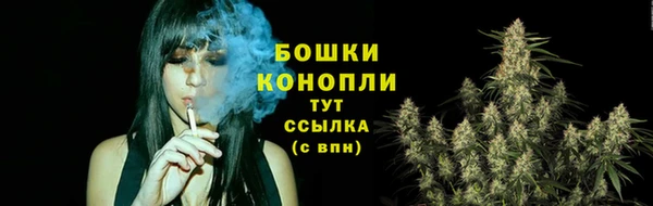 молекула духа Володарск