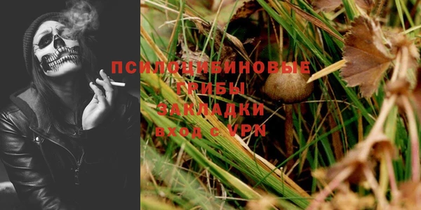 твердый Вязники