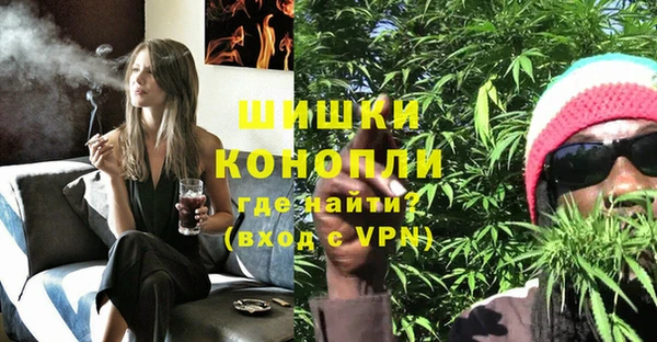 молекула духа Володарск